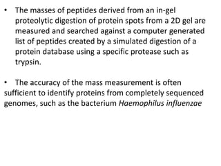 • The masses of peptides derived from an in-gel
proteolytic digestion of protein spots from a 2D gel are
measured and searched against a computer generated
list of peptides created by a simulated digestion of a
protein database using a specific protease such as
trypsin.
• The accuracy of the mass measurement is often
sufficient to identify proteins from completely sequenced
genomes, such as the bacterium Haemophilus influenzae
 
