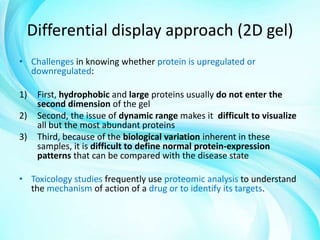 Differential display approach (2D gel)
• Challenges in knowing whether protein is upregulated or
downregulated:
1)
2)

3)

First, hydrophobic and large proteins usually do not enter the
second dimension of the gel
Second, the issue of dynamic range makes it difficult to visualize
all but the most abundant proteins
Third, because of the biological variation inherent in these
samples, it is difficult to define normal protein-expression
patterns that can be compared with the disease state

• Toxicology studies frequently use proteomic analysis to understand
the mechanism of action of a drug or to identify its targets.

 