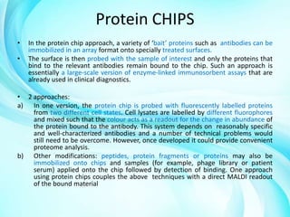 Protein CHIPS
•
•

In the protein chip approach, a variety of ‘bait’ proteins such as antibodies can be
immobilized in an array format onto specially treated surfaces.
The surface is then probed with the sample of interest and only the proteins that
bind to the relevant antibodies remain bound to the chip. Such an approach is
essentially a large-scale version of enzyme-linked immunosorbent assays that are
already used in clinical diagnostics.

• 2 approaches:
a) In one version, the protein chip is probed with fluorescently labelled proteins
from two different cell states. Cell lysates are labelled by different fluorophores
and mixed such that the colour acts as a readout for the change in abundance of
the protein bound to the antibody. This system depends on reasonably specific
and well-characterized antibodies and a number of technical problems would
still need to be overcome. However, once developed it could provide convenient
proteome analysis.
b) Other modifications: peptides, protein fragments or proteins may also be
immobilized onto chips and samples (for example, phage library or patient
serum) applied onto the chip followed by detection of binding. One approach
using protein chips couples the above techniques with a direct MALDI readout
of the bound material

 