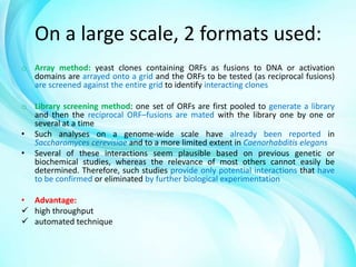 On a large scale, 2 formats used:
o Array method: yeast clones containing ORFs as fusions to DNA or activation
domains are arrayed onto a grid and the ORFs to be tested (as reciprocal fusions)
are screened against the entire grid to identify interacting clones
o Library screening method: one set of ORFs are first pooled to generate a library
and then the reciprocal ORF–fusions are mated with the library one by one or
several at a time
• Such analyses on a genome-wide scale have already been reported in
Saccharomyces cerevisiae and to a more limited extent in Caenorhabditis elegans
• Several of these interactions seem plausible based on previous genetic or
biochemical studies, whereas the relevance of most others cannot easily be
determined. Therefore, such studies provide only potential interactions that have
to be confirmed or eliminated by further biological experimentation
• Advantage:
 high throughput
 automated technique

 