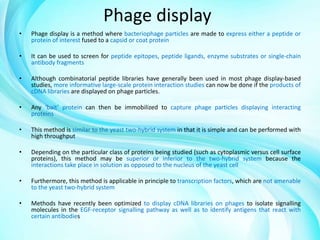 Phage display
•

Phage display is a method where bacteriophage particles are made to express either a peptide or
protein of interest fused to a capsid or coat protein

•

It can be used to screen for peptide epitopes, peptide ligands, enzyme substrates or single-chain
antibody fragments

•

Although combinatorial peptide libraries have generally been used in most phage display-based
studies, more informative large-scale protein interaction studies can now be done if the products of
cDNA libraries are displayed on phage particles.

•

Any ‘bait’ protein can then be immobilized to capture phage particles displaying interacting
proteins

•

This method is similar to the yeast two-hybrid system in that it is simple and can be performed with
high throughput

•

Depending on the particular class of proteins being studied (such as cytoplasmic versus cell surface
proteins), this method may be superior or inferior to the two-hybrid system because the
interactions take place in solution as opposed to the nucleus of the yeast cell

•

Furthermore, this method is applicable in principle to transcription factors, which are not amenable
to the yeast two-hybrid system

•

Methods have recently been optimized to display cDNA libraries on phages to isolate signalling
molecules in the EGF-receptor signalling pathway as well as to identify antigens that react with
certain antibodies

 
