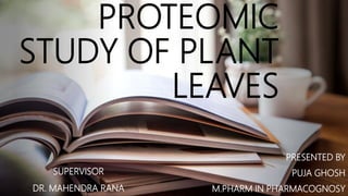 PROTEOMIC
STUDY OF PLANT
LEAVES
PRESENTED BY
PUJA GHOSH
M.PHARM IN PHARMACOGNOSY
SUPERVISOR
DR. MAHENDRA RANA
 