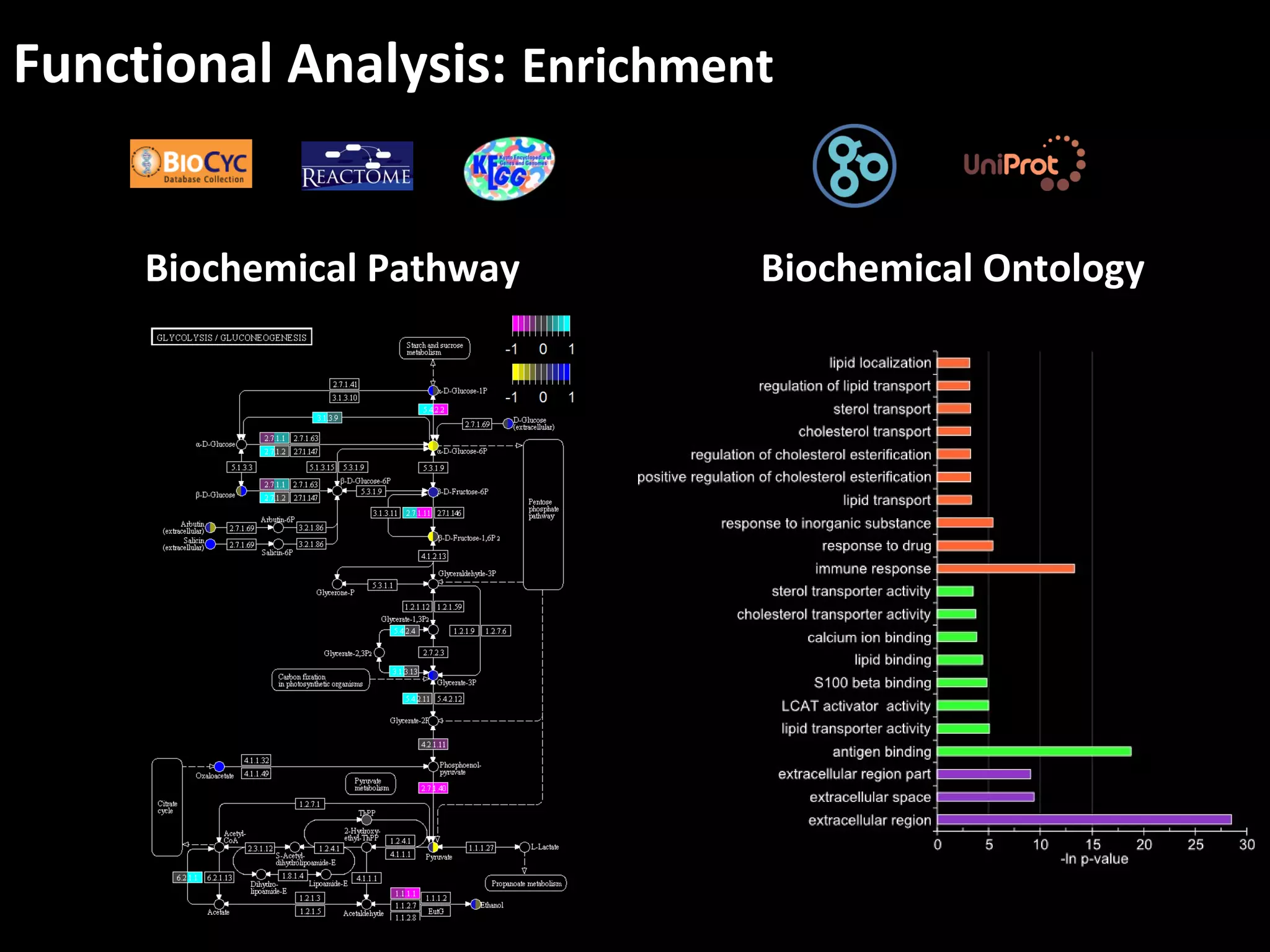 Functional Analysis: Enrichment
Biochemical Pathway Biochemical Ontology
 