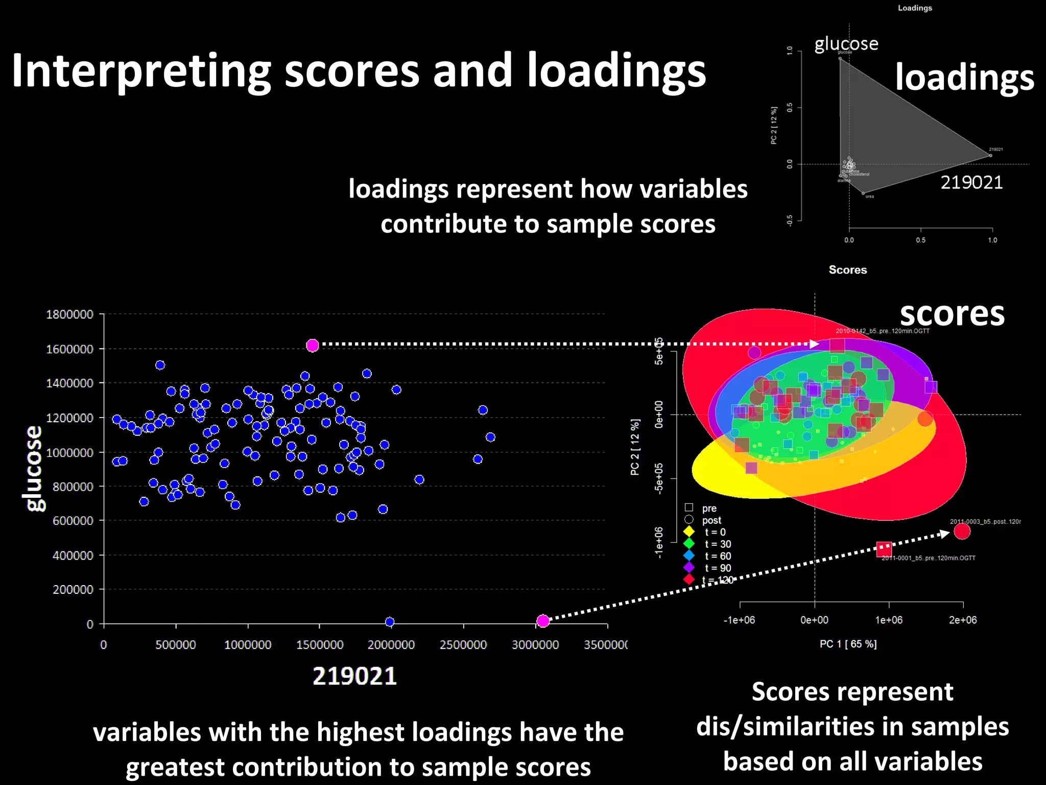 Interpreting scores and loadings
variables with the highest loadings have the
greatest contribution to sample scores
loadings represent how variables
contribute to sample scores
loadings
Scores represent
dis/similarities in samples
based on all variables
scores
 