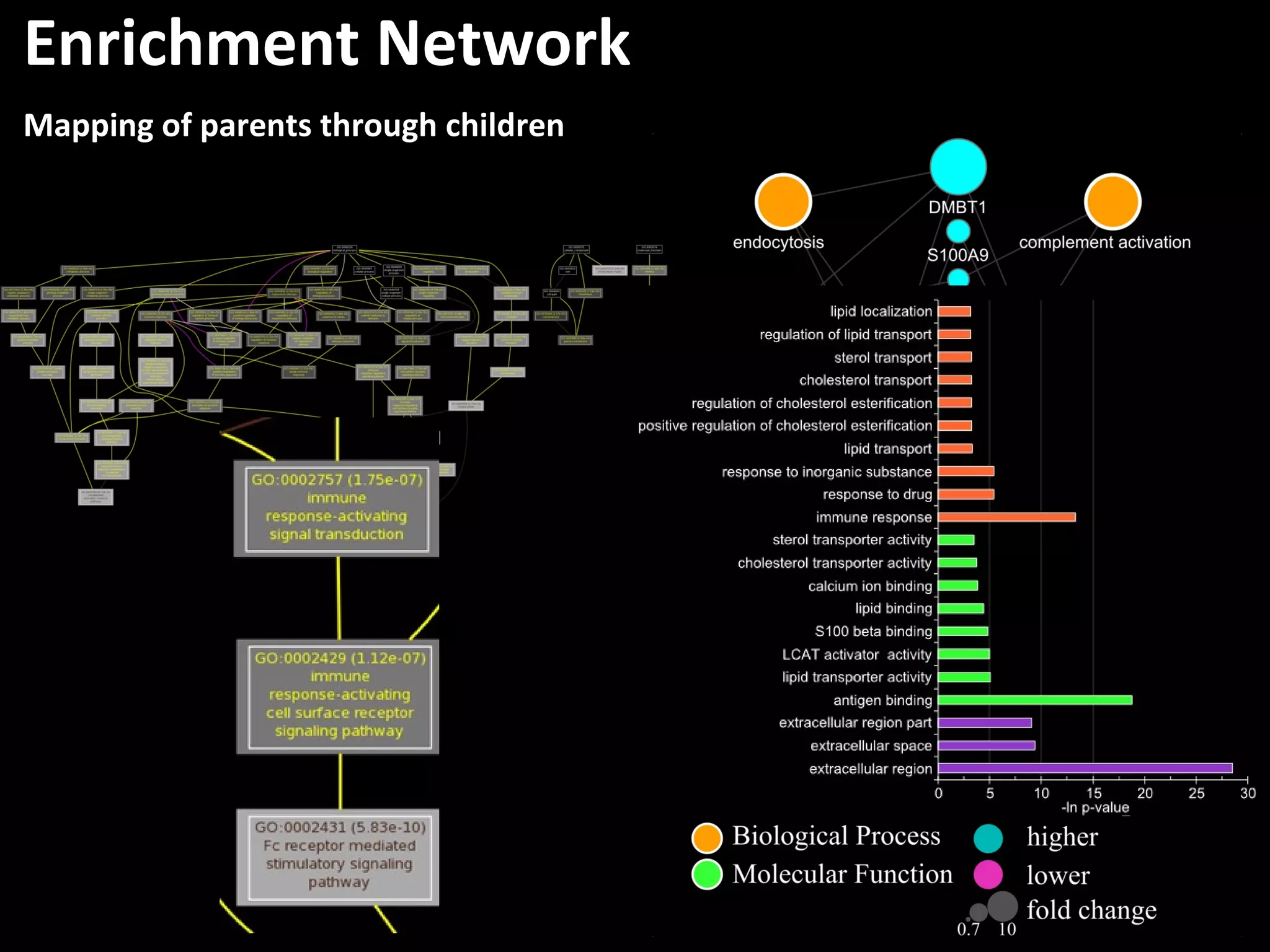 Enrichment Network
Mapping of parents through children
 