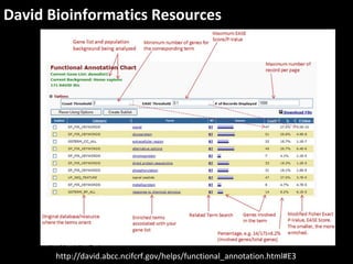 David Bioinformatics Resources
http://david.abcc.ncifcrf.gov/helps/functional_annotation.html#E3
 