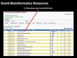 David Bioinformatics Resources
1. Overview most enriched term
 
