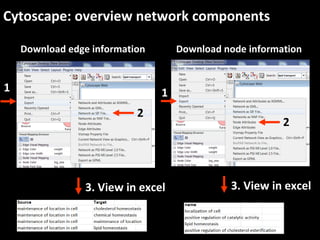 Cytoscape: overview network components
Download edge information
1
2
3. View in excel
Download node information
1
2
3. View in excel
 