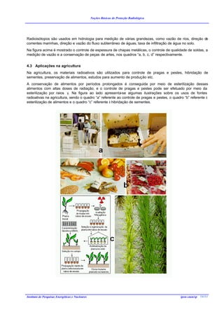 Noções Básicas de Proteção Radiológica




Radioisótopos são usados em hidrologia para medição de várias grandezas, como vazão de rios, direção de
correntes marinhas, direção e vazão do fluxo subterrâneo de águas, taxa de infiltração de água no solo.
Na figura acima é mostrado o controle de espessura de chapas metálicas, o controle de qualidade de soldas, a
medição de vazão e a conservação de peças de artes, nos quadros “a, b, c, d” respectivamente.


4.3 Aplicações na agricultura
Na agricultura, os materiais radioativos são utilizados para controle de pragas e pestes, hibridação de
sementes, preservação de alimentos, estudos para aumento de produção etc.
A conservação de alimentos por períodos prolongados é conseguida por meio de esterilização desses
alimentos com altas doses de radiação, e o controle de pragas e pestes pode ser efetuado por meio da
esterilização por raios γ. Na figura ao lado apresenta-se algumas ilustrações sobre os usos de fontes
radioativas na agricultura, sendo o quadro “a” referente ao controle de pragas e pestes, o quadro “b” referente à
esterilização de alimentos e o quadro “c” referente à hibridação de sementes.




Instituto de Pesquisas Energéticas e Nucleares                                                 ipen-cnen/sp 14/13
 