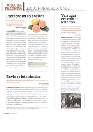 Revista Globo Rural - Proteção às goiabeiras