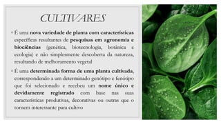 CULTIVARES
◦ É uma nova variedade de planta com características
específicas resultantes de pesquisas em agronomia e
biociê...