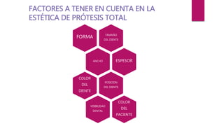 TAMAÑO
DEL DIENTE
FORMA
ANCHO ESPESOR
POSICION
DEL DIENTE
COLOR
DEL
DIENTE
VISIBILIDAD
DENTAL
COLOR
DEL
PACIENTE
FACTORES A TENER EN CUENTA EN LA
ESTÉTICA DE PRÓTESIS TOTAL