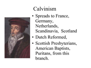 Calvinism Spreads to France, Germany, Netherlands, Scandinavia,  Scotland Dutch Reformed,  Scottish Presbyterians, American Baptists, Puritans, from this branch. 