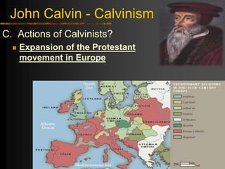 John Calvin - Calvinism
C. Actions of Calvinists?
 Expansion of the Protestant
movement in Europe
 
