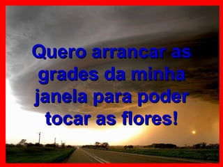 Quero arrancar as grades da minha janela para poder tocar as flores! 