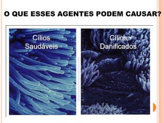 O QUE ESSES AGENTES PODEM CAUSAR?
 