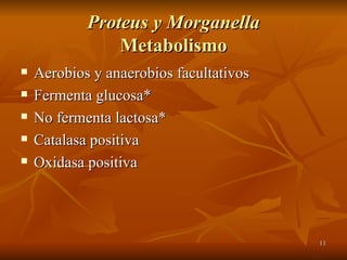 Proteus y Morganella Metabolismo Aerobios y anaerobios facultativos Fermenta glucosa* No fermenta lactosa* Catalasa positiva Oxidasa positiva 