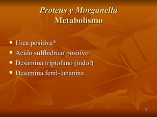 Proteus y Morganella Metabolismo Urea positiva* Acido sulfhídrico positivo Desamina triptofano (indol) Desamina fenil-lananina 