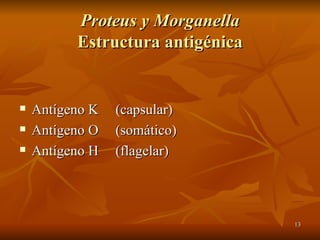 Proteus y Morganella Estructura antigénica Antígeno K  (capsular) Antígeno O (somático) Antígeno H (flagelar) 