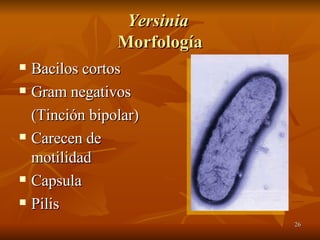 Yersinia  Morfología Bacilos cortos Gram negativos (Tinción bipolar) Carecen de motilidad Capsula Pilis 