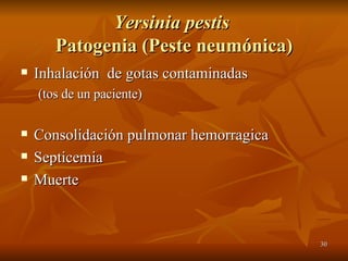 Yersinia pestis  Patogenia (Peste neumónica) Inhalación  de gotas contaminadas (tos de un paciente) Consolidación pulmonar hemorragica Septicemia Muerte 