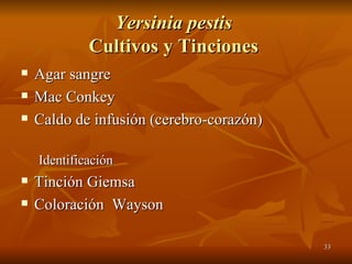 Yersinia pestis  Cultivos y Tinciones  Agar sangre Mac Conkey Caldo de infusión (cerebro-corazón)  Identificación Tinción Giemsa Coloración  Wayson 