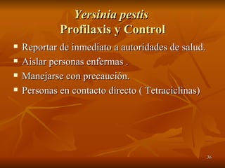 Yersinia pestis  Profilaxis y Control Reportar de inmediato a autoridades de salud. Aislar personas enfermas . Manejarse con precaución. Personas en contacto directo ( Tetraciclinas) 