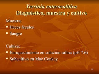 Yersinia enterocolitica   Diagnóstico, muestra y cultivo Muestra: Heces fecales Sangre Cultivo: Enriquecimiento en solución salina (pH 7.6) Subcultivo en Mac Conkey 