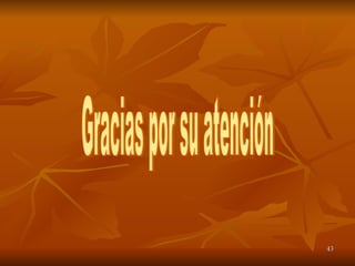 Gracias por su atención 