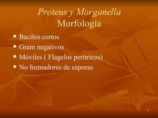 Proteus y Morganella Morfología Bacilos cortos Gram negativos Móviles ( Flagelos perítricos) No formadores de esporas 