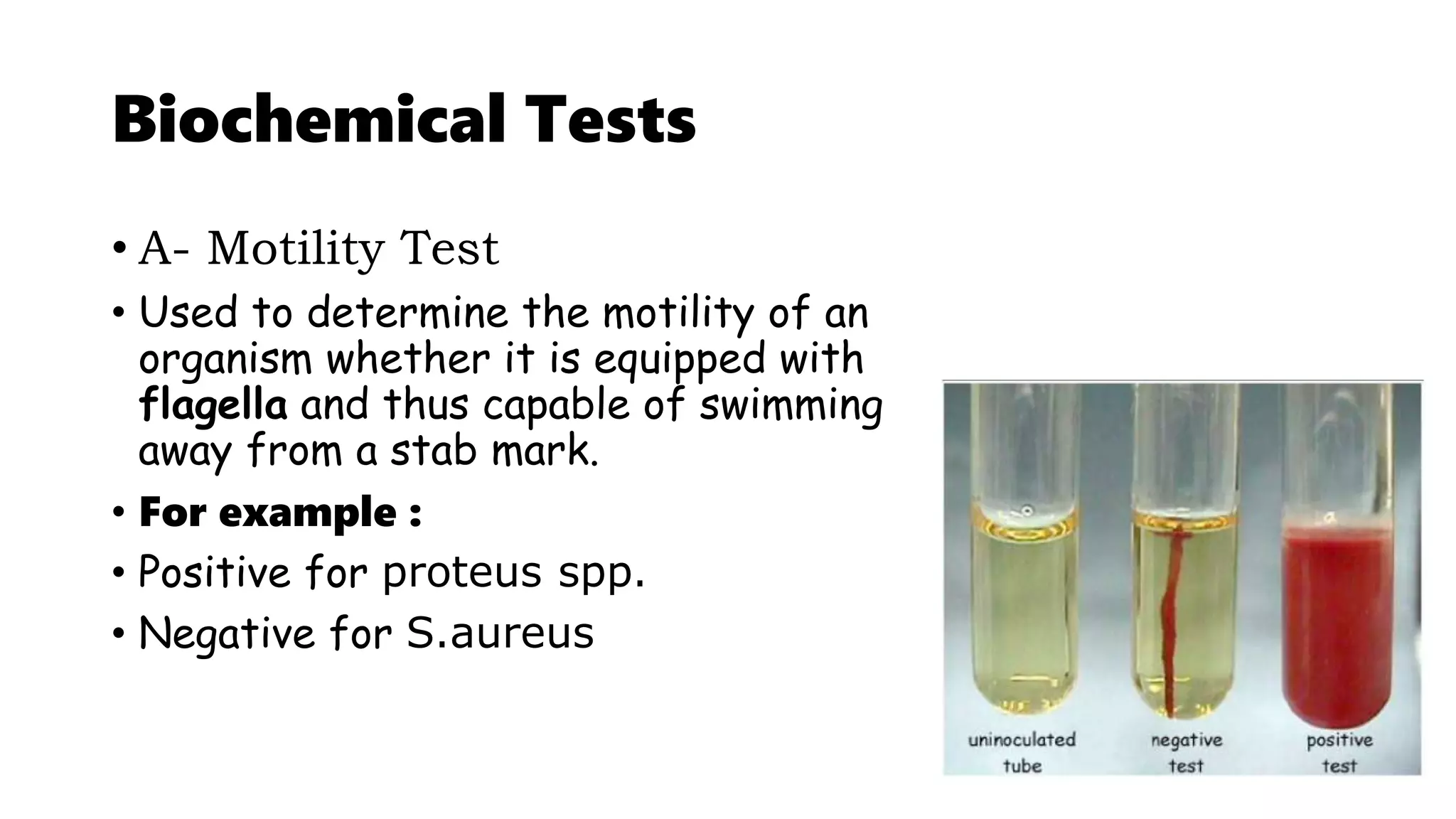 Biochemical Tests
• A- Motility Test
• Used to determine the motility of an
organism whether it is equipped with
flagella and thus capable of swimming
away from a stab mark.
• For example :
• Positive for proteus spp.
• Negative for S.aureus
 