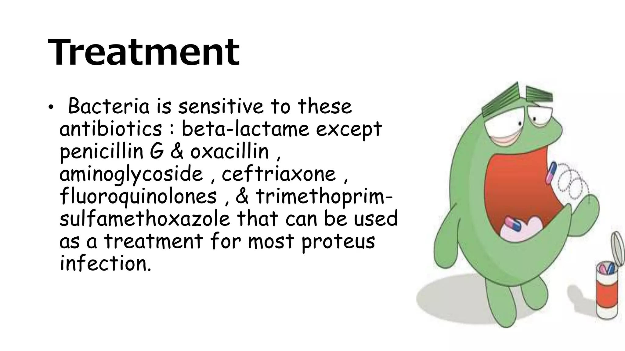 Treatment
• Bacteria is sensitive to these
antibiotics : beta-lactame except
penicillin G & oxacillin ,
aminoglycoside , ceftriaxone ,
fluoroquinolones , & trimethoprim-
sulfamethoxazole that can be used
as a treatment for most proteus
infection.
 