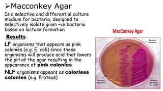 Macconkey Agar
Is a selective and differential culture
medium for bacteria, designed to
selectively isolate gram –ve bacteria
based on lactose formation
Results:
LF organisms that appears as pink
colonies (e.g. E. coli) since these
organisms will produce acid that lowers
the pH of the agar resulting in the
appearance of pink colonies
NLF organisms appears as colorless
colonies (e.g. Proteus)
 