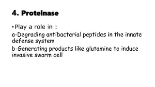4. Proteinase
• Play a role in :
a-Degrading antibacterial peptides in the innate
defense system
b-Generating products like glutamine to induce
invasive swarm cell
 