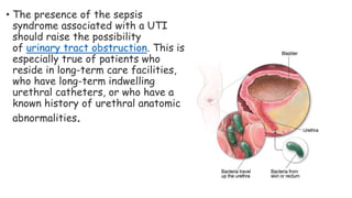 • The presence of the sepsis
syndrome associated with a UTI
should raise the possibility
of urinary tract obstruction. This is
especially true of patients who
reside in long-term care facilities,
who have long-term indwelling
urethral catheters, or who have a
known history of urethral anatomic
abnormalities.
 
