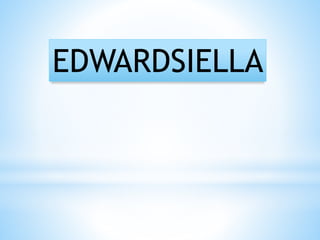 EDWARDSIELLA
 