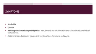 SYMPTOMS
 Urethritis
 cystisis
 Xanthogranulomatous Pyelonephritis- Rare, chronic and inflammatory and Granulomatous formation
within kidney.
 Abdominal pain, back pain, Nausea and vomiting, fever, hematuria and pyuria.
 