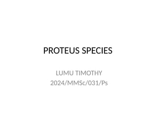 Comprehensive Overview of Proteus Species: Morphology, Biochemistry ...
