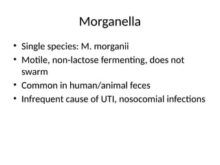 Comprehensive Overview of Proteus Species: Morphology, Biochemistry ...