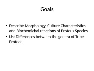 Comprehensive Overview of Proteus Species: Morphology, Biochemistry ...