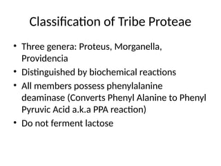Comprehensive Overview of Proteus Species: Morphology, Biochemistry ...