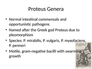 Comprehensive Overview of Proteus Species: Morphology, Biochemistry ...