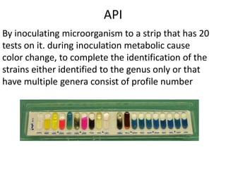 API
By inoculating microorganism to a strip that has 20
tests on it. during inoculation metabolic cause
color change, to complete the identification of the
strains either identified to the genus only or that
have multiple genera consist of profile number

 