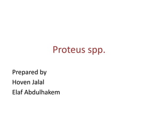 Proteus spp.
Prepared by
Hoven Jalal
Elaf Abdulhakem

 