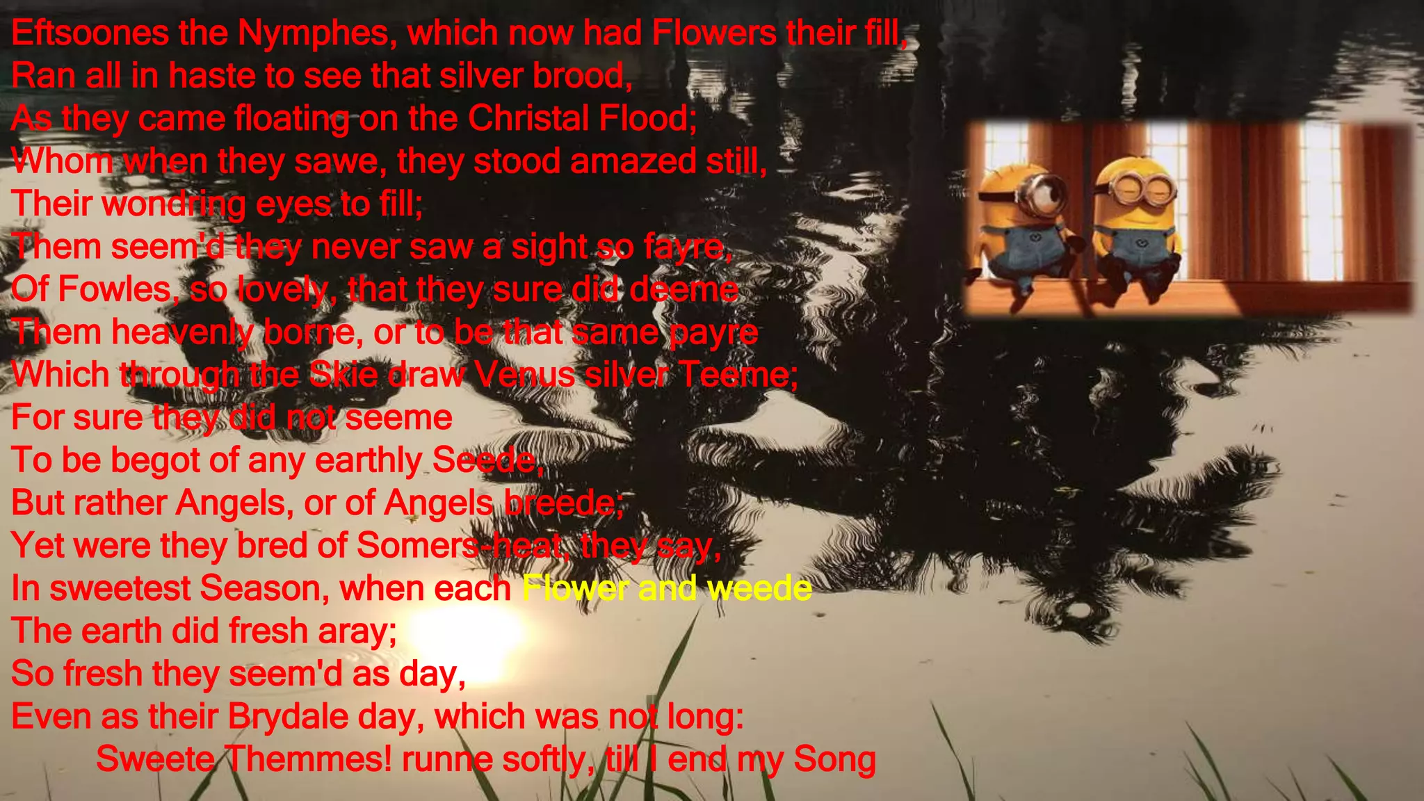 Eftsoones the Nymphes, which now had Flowers their fill,
Ran all in haste to see that silver brood,
As they came floating on the Christal Flood;
Whom when they sawe, they stood amazed still,
Their wondring eyes to fill;
Them seem'd they never saw a sight so fayre,
Of Fowles, so lovely, that they sure did deeme
Them heavenly borne, or to be that same payre
Which through the Skie draw Venus silver Teeme;
For sure they did not seeme
To be begot of any earthly Seede,
But rather Angels, or of Angels breede;
Yet were they bred of Somers-heat, they say,
In sweetest Season, when each Flower and weede
The earth did fresh aray;
So fresh they seem'd as day,
Even as their Brydale day, which was not long:
Sweete Themmes! runne softly, till I end my Song
 