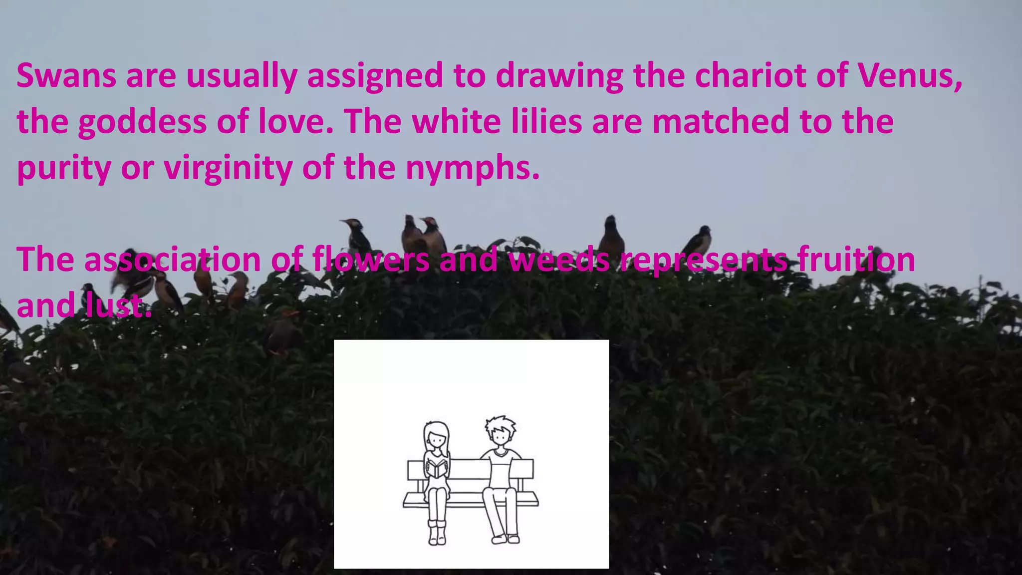 Swans are usually assigned to drawing the chariot of Venus,
the goddess of love. The white lilies are matched to the
purity or virginity of the nymphs.
The association of flowers and weeds represents fruition
and lust.
 