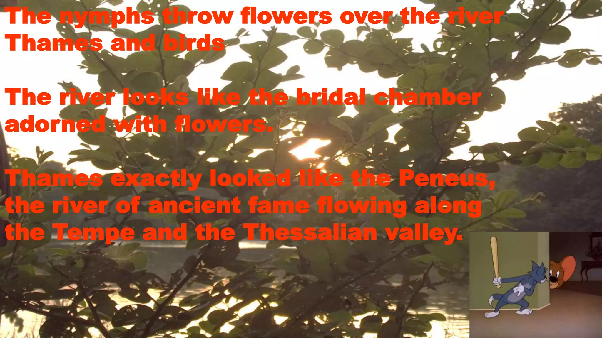 The nymphs throw flowers over the river
Thames and birds
The river looks like the bridal chamber
adorned with flowers.
Thames exactly looked like the Peneus,
the river of ancient fame flowing along
the Tempe and the Thessalian valley.
 