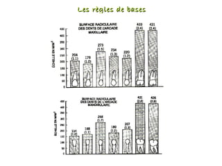 Les règles de basesLes règles de bases
 