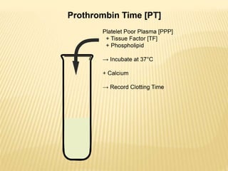 PROTHROMIN TIME AND PARTIAL PROTHROMIN TIME.pptx