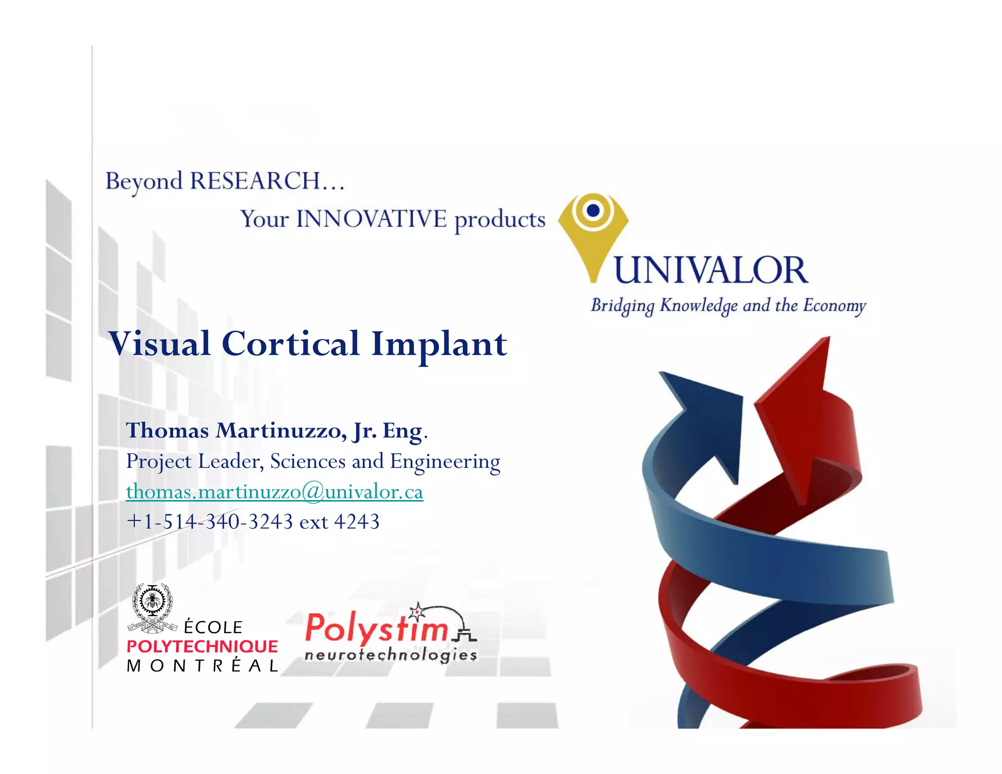 Visual Cortical Implant